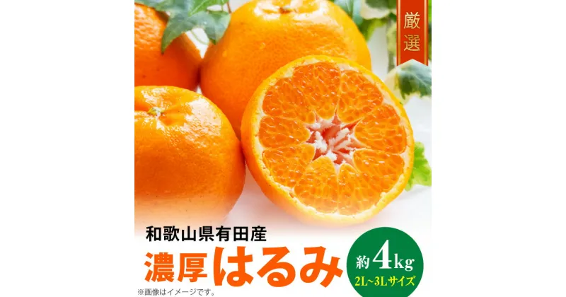 【ふるさと納税】【限定】 和歌山有田の濃厚 はるみ 4kg (2L～3Lサイズ)【ハルミ 春見 ミカン 蜜柑 柑橘 和歌山 有田】