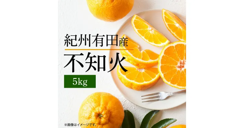 【ふるさと納税】【限定】 【先行予約】不知火 5kg デコポン 柑橘の王様 甘い プリプリ ジューシー 濃厚 フルーツ 果実 果物 柑橘 紀州有田産 国産 食品 食べ物 お取り寄せ 魚鶴商店 和歌山県 湯浅町 送料無料