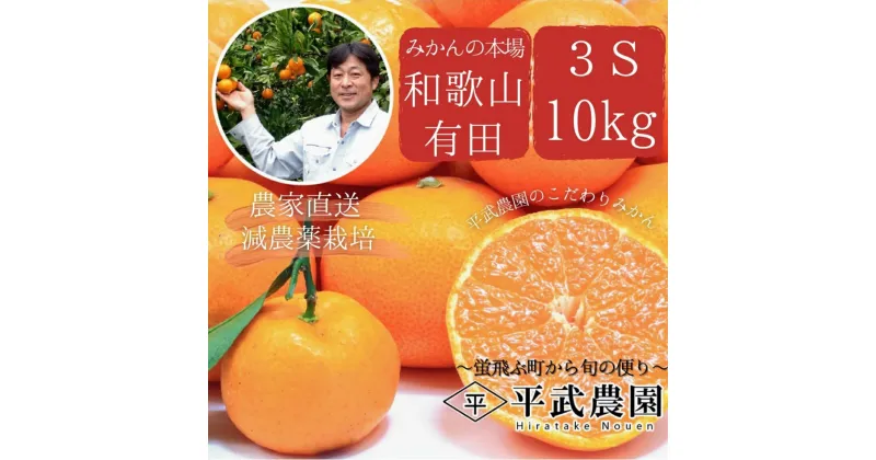 【ふるさと納税】【平武農園より農家直送！】 有田みかん 10kg 3Sサイズ《秀品（超小玉）》 蛍飛ぶ町から旬の便り【ミカン 蜜柑 柑橘 温州みかん 有田みかん 和歌山 有田 田口】