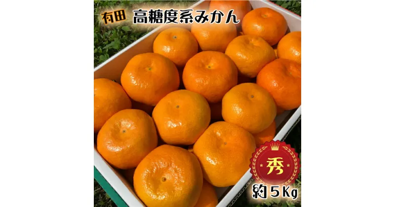 【ふるさと納税】【先行予約】高糖度 有田みかん 秀品 5kg (M～Lサイズおまかせ)【ミカン 蜜柑 柑橘 温州みかん 有田みかん 和歌山】