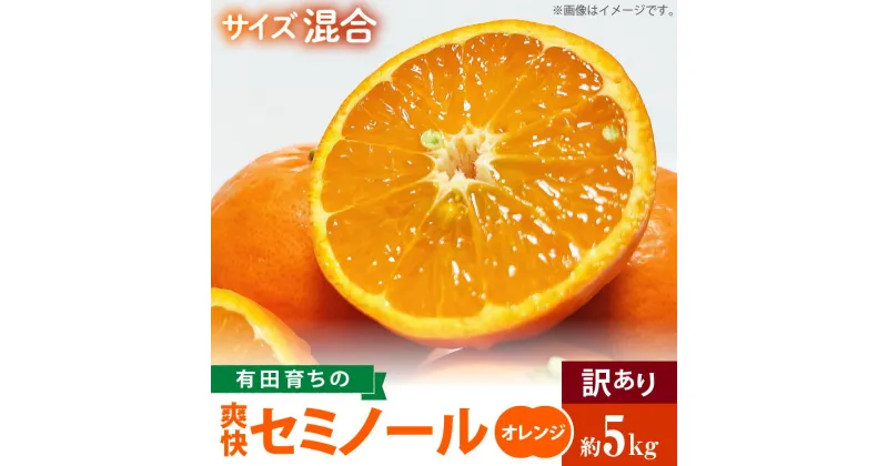 【ふるさと納税】【先行予約】有田育ちの爽快 セミノール オレンジ 【訳あり 家庭用】5kg (サイズ混合)【ミカン 蜜柑 春みかん 柑橘 フルーツ 和歌山 有田】