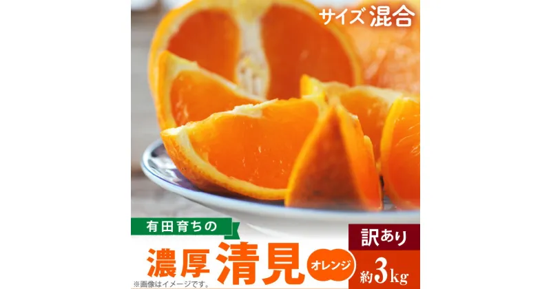 【ふるさと納税】【先行予約】有田育ちの 濃厚 清見 オレンジ 【訳あり 家庭用】3kg (サイズ混合)【清見 みかん タンゴール 柑橘 フルーツ 和歌山 有田】