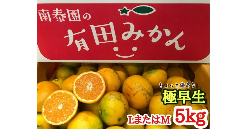 【ふるさと納税】【ちょっと傷あり】極早生・有田みかん 約5kg(LまたはMサイズ)【ミカン 蜜柑 柑橘 温州みかん 和歌山 有田 訳あり】