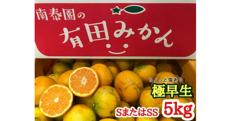 【ふるさと納税】【ちょっと傷あり】極早生・有田みかん 約5kg(SまたはSSサイズ)【ミカン 蜜柑 柑橘 温州みかん 和歌山 有田 訳あり】