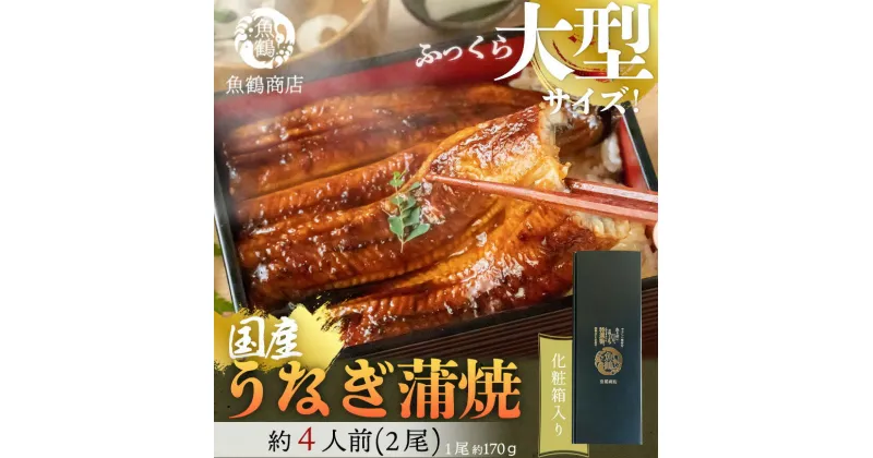 【ふるさと納税】大型サイズ ふっくら柔らか 国産うなぎ 蒲焼き 2尾 (約4人前) 化粧箱入