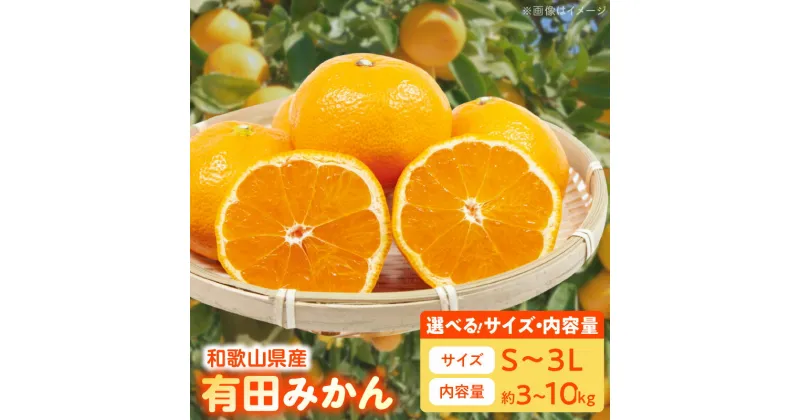 【ふるさと納税】【限定】 高評価 みかん 有田みかん 選べるサイズ&容量 S ～ 3Lサイズ 3kg 5kg 10kg 手選別 厳選 直送 国産 ブランド産地 有田 温州みかん 柑橘 果物 フルーツ 甘い コク うまみ 果汁 濃縮 濃厚 お取り寄せ 和歌山県 湯浅町 送料無料