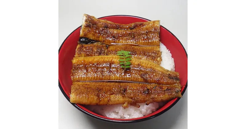 【ふるさと納税】炭焼き うなぎ 蒲焼　特大サイズ2尾セット（約200g前後×2尾）タレ 粉山椒 付き　国産 鰻　冷凍 ウナギ　1尾ずつ真空パック　土用の丑の日　紀伊国屋文左衛門本舗