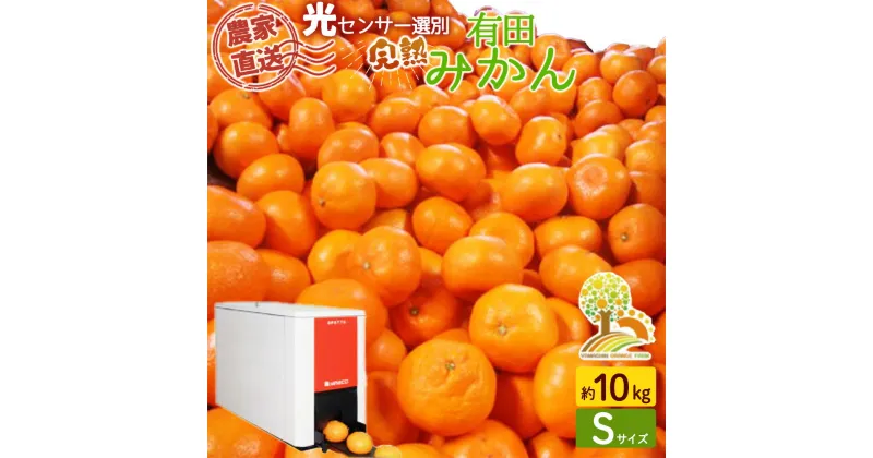 【ふるさと納税】＼農家直送／完熟 有田みかん 10kg Sサイズ 有機質肥料100%