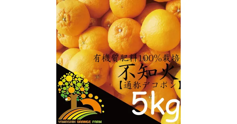 【ふるさと納税】＼農家直送／こだわりの デコポン 不知火 5kg 有機質肥料100%【デコポン 不知火 しらぬい】