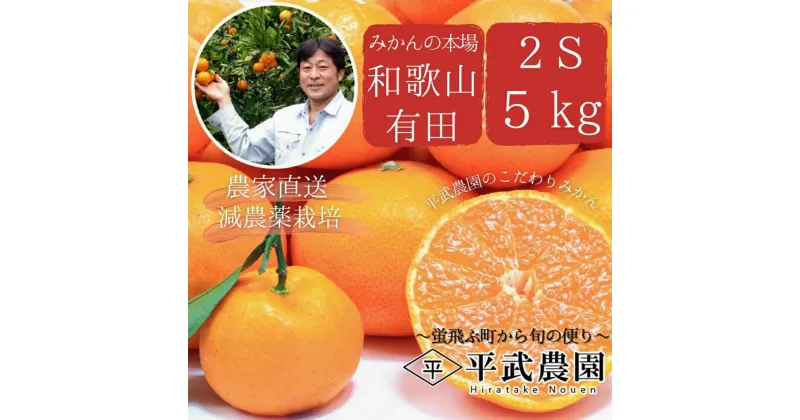 【ふるさと納税】有田みかん 5kg 2S サイズ 秀品 小玉 早生みかん 晩生みかん 発送時期で変わる 有田 みかん 温州みかん フルーツ 果物 果実 柑橘 甘い コク やみつき 国産 食品 食べ物 農家直送 お取り寄せ 和歌山県 湯浅町 平武農園 送料無料