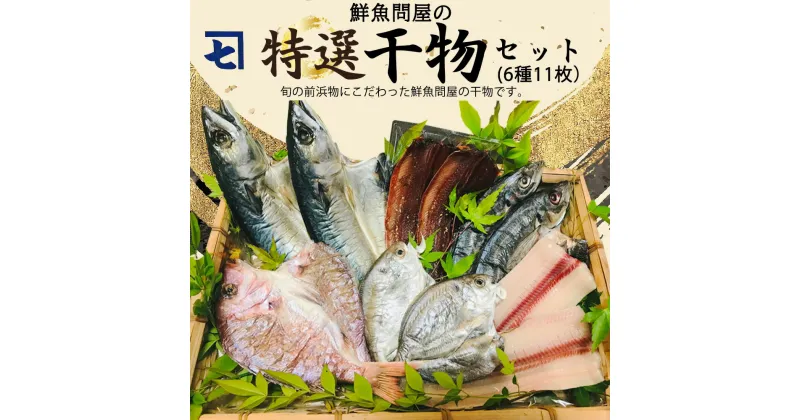 【ふるさと納税】鮮魚問屋の 特選 干物セット (6種11枚）【魚 干物セット 詰め合わせ】