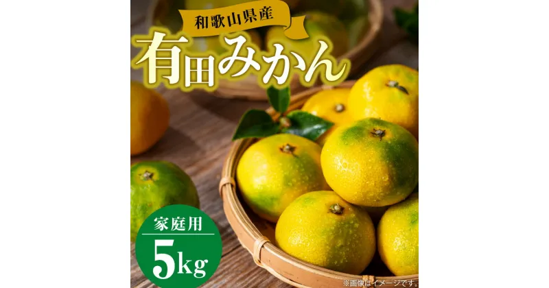 【ふるさと納税】【限定】 【先行予約】【訳あり】和歌山県産 有田みかん 5kg【ミカン 蜜柑 柑橘 温州みかん 和歌山 有田】