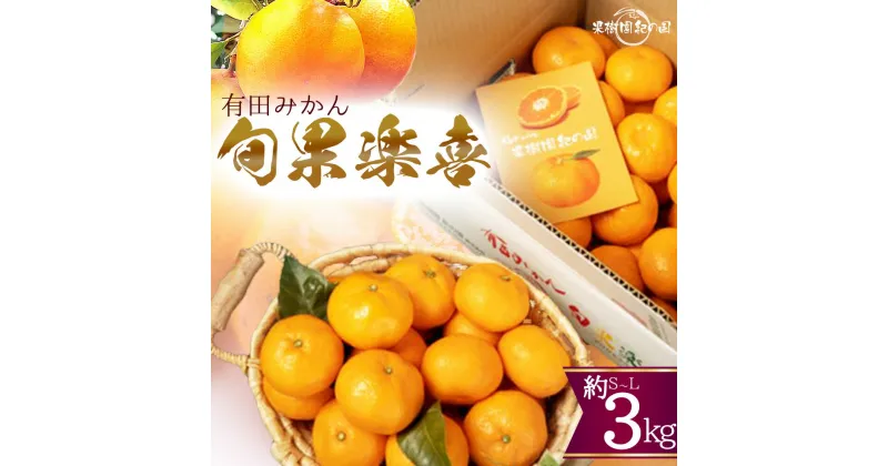 【ふるさと納税】【限定】 有田みかん 旬果楽喜 約3kg入【ミカン 蜜柑 柑橘 温州みかん 有田みかん 和歌山】