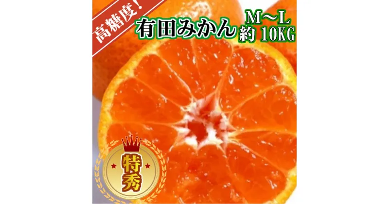 【ふるさと納税】【先行予約】高糖度 有田みかん 特秀品 10kg (M～Lサイズおまかせ)【ミカン 蜜柑 柑橘 温州みかん 有田みかん 和歌山】