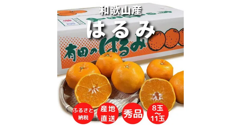 【ふるさと納税】【先行予約】和歌山県産 有田の はるみ 8～11玉【まごころ手選別】【ハルミ 春見 ミカン 蜜柑 柑橘 和歌山 有田】