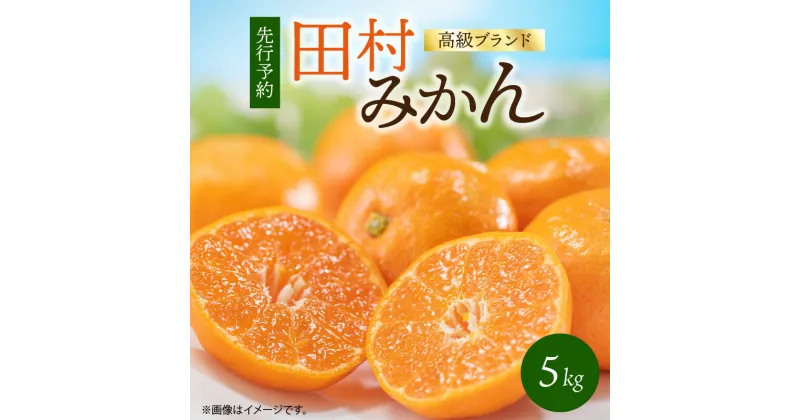 【ふるさと納税】【限定】 【先行予約】田村みかん 5kg 高級ブランド 有田みかん 温州みかん みかん 柑橘 果物 フルーツ 果実 濃厚 甘い コク ミネラル 酸味 甘味 国産 食品 食べ物 お取り寄せ 和歌山県 湯浅町 送料無料