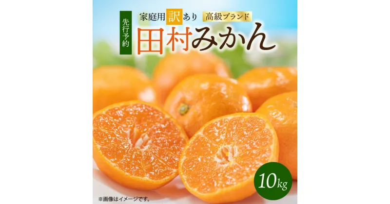 【ふるさと納税】【限定】 【2024年 先行予約】高級ブランド 田村みかん 10kg【家庭用 訳あり】【ミカン 蜜柑 柑橘 温州みかん 有田みかん 和歌山】