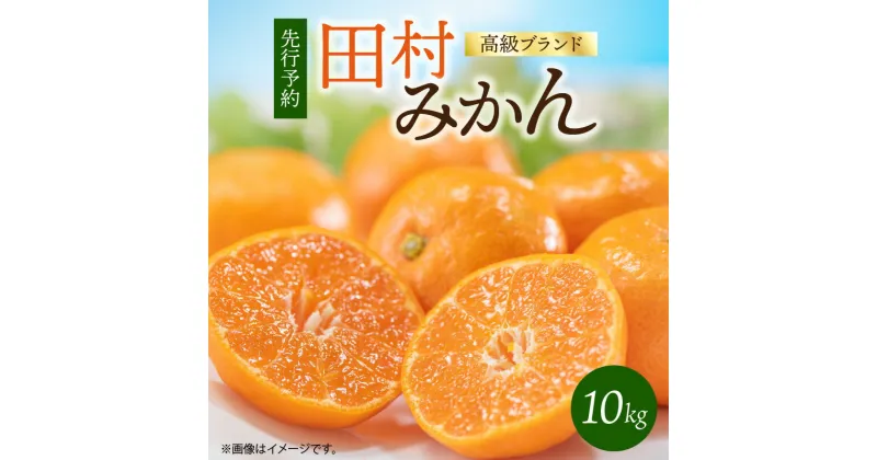 【ふるさと納税】【2024年 先行予約】高級ブランド 田村みかん 10kg【ミカン 蜜柑 柑橘 温州みかん 有田みかん 和歌山】