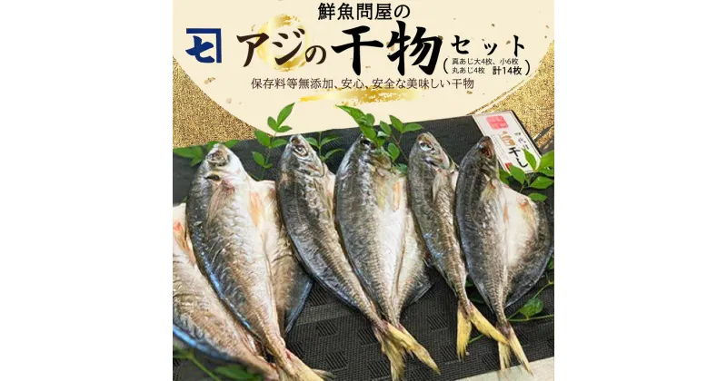 【ふるさと納税】鮮魚問屋の アジの 干物セット (真あじ大4枚 真あじ小6枚 丸あじ4枚)【魚 干物セット 詰め合わせ】