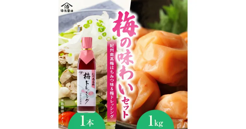 【ふるさと納税】紀州南高梅はちみつ味 1kgと梅ドレッシング