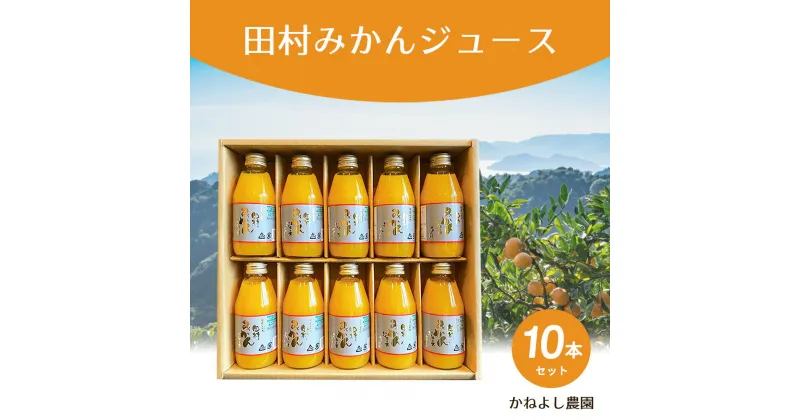 【ふるさと納税】かねよし農園 田村みかんジュース 10本 セット【和歌山 ミカンジュース ストレート 果汁100% 無添加】