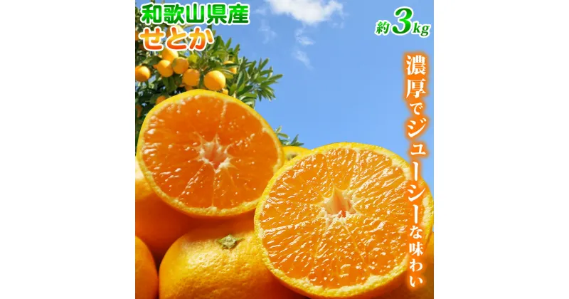 【ふるさと納税】【限定】 【先行予約】とろける食感！ジューシー柑橘 せとか 3kg【ミカン 蜜柑 春みかん 柑橘 和歌山 有田】