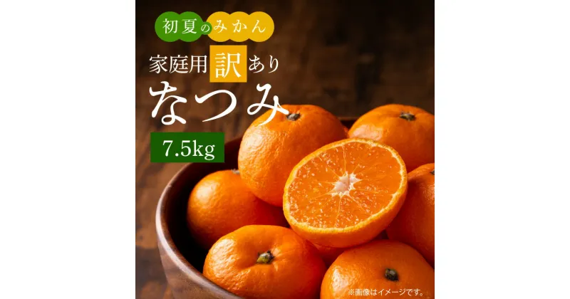 【ふるさと納税】【限定】 初夏のみかん なつみ 7.5kg【家庭用 訳あり】【ミカン 蜜柑 柑橘 和歌山 有田 南津海】