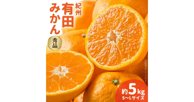 【ふるさと納税】紀州有田みかん 秀品 約5kg (S・M・Lサイズ)