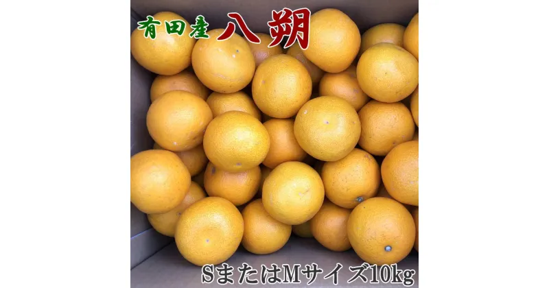 【ふるさと納税】【限定】 【先行予約】【手選果】有田産の 八朔 10kg 小玉 (SまたはMサイズいずれかお届け)【はっさく ハッサク 八朔 和歌山産】