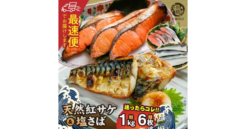 【ふるさと納税】【限定】《2週間以内発送》 天然 紅サケ 1kg & 塩さば 6枚 セット 切身 フィレ 選りすぐり 鮭 鯖 魚 海の幸 海鮮 魚介 食品 食べ物 おかず 料理 水産加工品 お取り寄せ 魚鶴商店 冷凍 和歌山県 湯浅町 送料無料