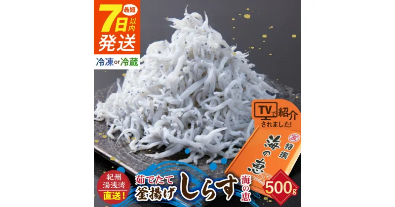 【ふるさと納税】【限定】 高評価★4.88 選べる 冷蔵 冷凍 茹でたて 釜揚げしらす 海の恵み 500g 紀州湯浅湾直送！【しらす干し ちりめんじゃこ シラス】