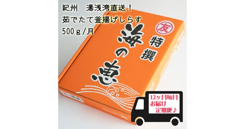 【ふるさと納税】紀州湯浅湾直送！海の恵　茹でたて釜揚げしらす (冷蔵) 【定期便】500g×12回