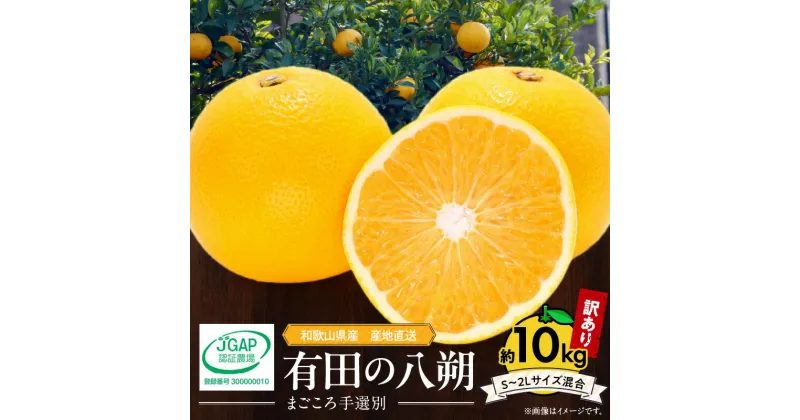 【ふるさと納税】和歌山県産 有田の 八朔 (はっさく) 【訳あり 家庭用】 10kg(S～2Lサイズ混合)【まごころ手選別】【はっさく ハッサク 八朔 和歌山産】