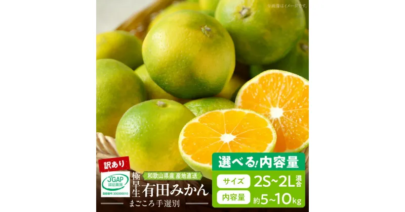 【ふるさと納税】【先行予約】和歌山県産 有田みかん (極早生) 【訳あり 家庭用】 選べる 内容量 5kg ～ 10kg (2S～2Lサイズ混合)【まごころ手選別】【ミカン 蜜柑 柑橘 温州みかん わせ】