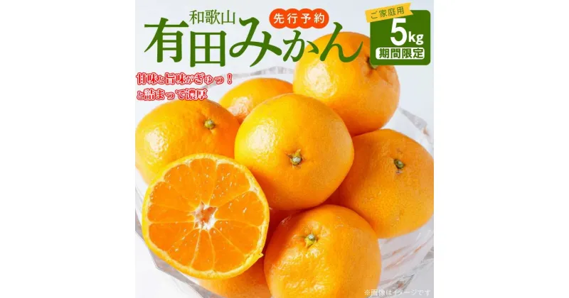 【ふるさと納税】【限定】 【先行予約】【ご家庭用】有田みかん約5kg(SS、S、M、L、2Lサイズ)【湯浅町】【ミカン 蜜柑 柑橘 温州みかん 有田みかん 和歌山】