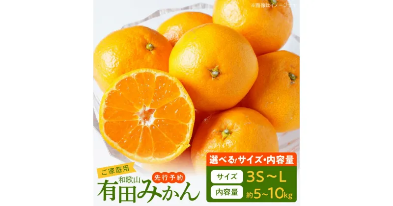 【ふるさと納税】【先行予約】【ご家庭用】有田みかん 選べるサイズ&容量 3S ～L サイズ 5kg 10kg【湯浅町】【ミカン 蜜柑 柑橘 温州みかん 有田みかん 和歌山】