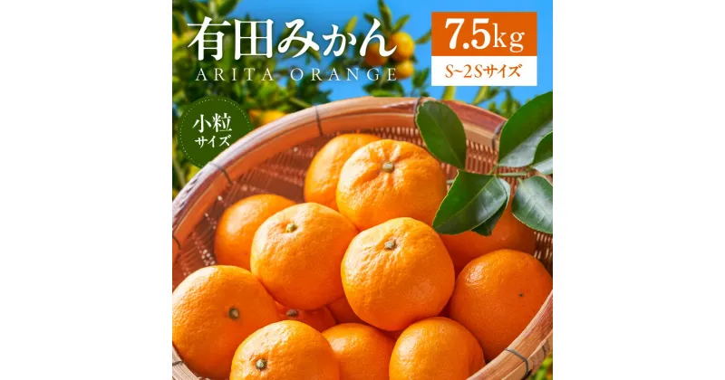 【ふるさと納税】みかん 有田みかん 7.5kg 小粒 S～2Sサイズ 自信作 専用箱入り 高品質 大手スーパーギフト青果部門30年連続1位 高評価 こだわり 岩内農園 豊味の会 和歌山県 湯浅町 有田地方 お取り寄せ 送料無料