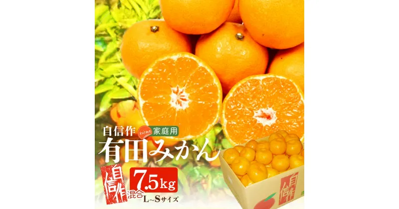 【ふるさと納税】自信作 有田みかん 7.5kg L～Sサイズ混合 【訳あり 家庭用】【ミカン 蜜柑 柑橘 温州みかん 有田みかん 和歌山】