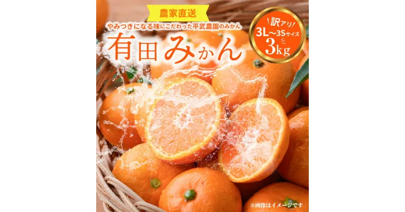 【ふるさと納税】【平武農園より農家直送！】有田みかん 訳あり3kg(3L～3S) 蛍飛ぶ町から旬の便り 【ミカン 蜜柑 柑橘 温州みかん 有田みかん 和歌山 有田 田口】