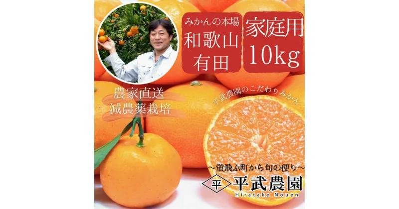 【ふるさと納税】【平武農園より農家直送！】有田みかん 家庭用10kg (≪秀品・訳あり品≫3L～3S)蛍飛ぶ町から旬の便り 【ミカン 蜜柑 柑橘 温州みかん 有田みかん 和歌山 有田 田口】