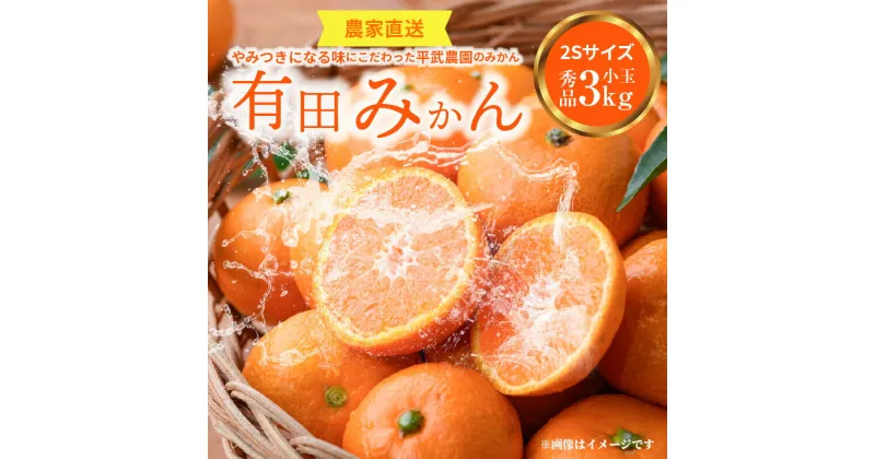 【ふるさと納税】【平武農園より農家直送！】 有田みかん 3kg 2Sサイズ《秀品（小玉）》 蛍飛ぶ町から旬の便り【ミカン 蜜柑 柑橘 温州みかん 有田みかん 和歌山 有田 田口】