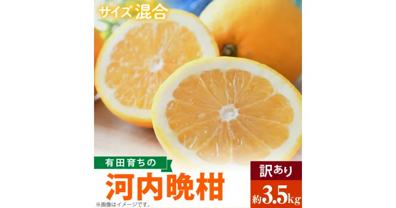 【ふるさと納税】【先行予約】有田育ちの 河内晩柑 【訳あり 家庭用】3.5kg (サイズ混合)【ミカン 蜜柑 灘オレンジ サウスオレンジ 柑橘 フルーツ 和歌山 有田】