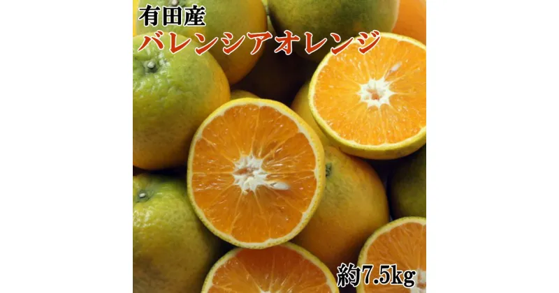 【ふるさと納税】有田産 濃厚 バレンシアオレンジ 約7.5kg【国産 オレンジ 柑橘 フルーツ】