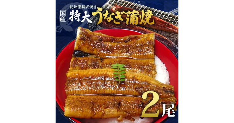 【ふるさと納税】紀州備長炭焼き 特大 うなぎ 蒲焼き(国産)【鰻 ウナギ 丑の日 土用 蒲焼き 関西風 冷凍】