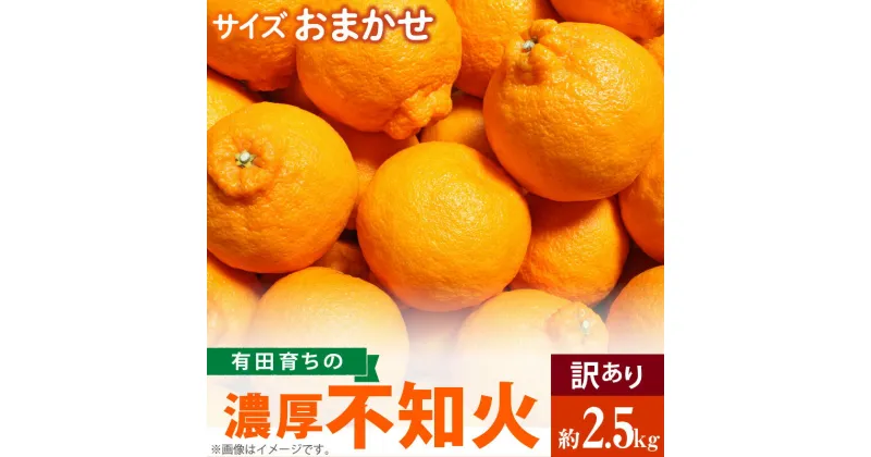 【ふるさと納税】（先行予約）有田育ちの濃厚 不知火 (デコポンと同品種)（訳あり 家庭用）2.5kg (サイズおまかせ)