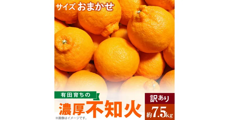 【ふるさと納税】（先行予約）有田育ちの濃厚 不知火 (デコポンと同品種)【訳あり 家庭用】7.5kg