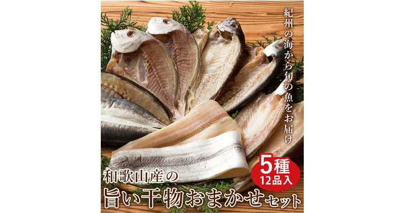 【ふるさと納税】和歌山産 干物詰め合わせセット 5種12品入り【無添加・無着色】【魚 干物セット 詰め合わせ】