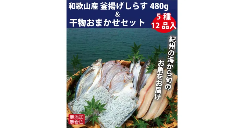 【ふるさと納税】和歌山産 釜揚げしらす 480g ＆ 干物詰め合わせセット 5種12品入り【無添加・無着色】【しらす干し ちりめんじゃこ シラス 魚 干物セット 詰め合わせ】