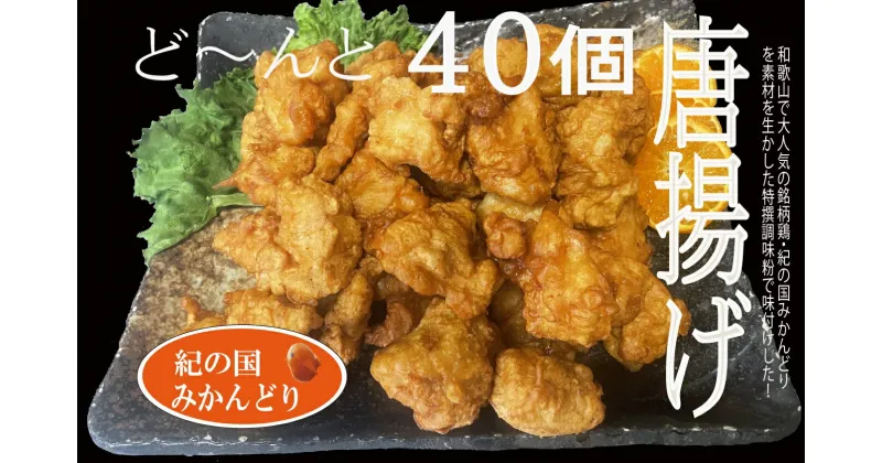 【ふるさと納税】紀の国みかんどり 特選 唐揚げ【からあげ 鶏から 冷蔵 チルド 惣菜 弁当 おかず】