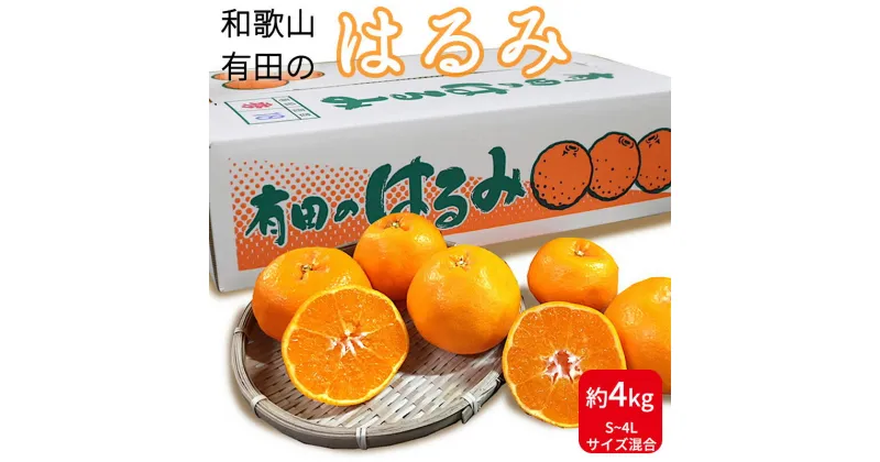 【ふるさと納税】【先行予約】和歌山県産 有田の はるみ 4kg (サイズ混合)【まごころ手選別】【ハルミ 春見 ミカン 蜜柑 柑橘 和歌山 有田】